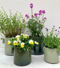 Load image into Gallery viewer, urban jungle flower pots in  grey  and green  large and  medium 
